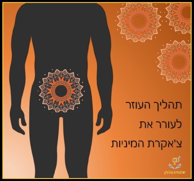 תהליך לעורר את צאקרת המיניות