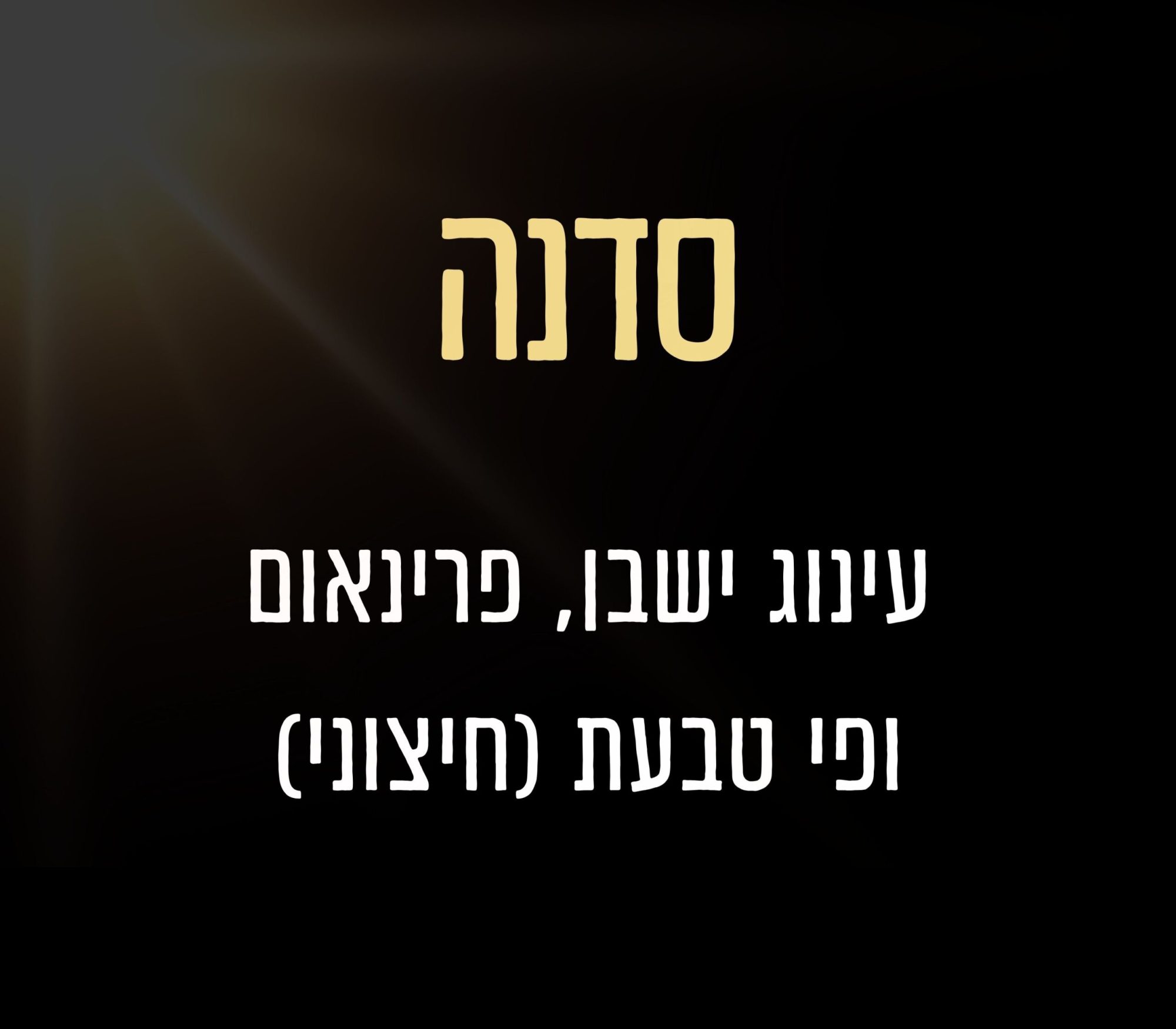 הדרכה (10)