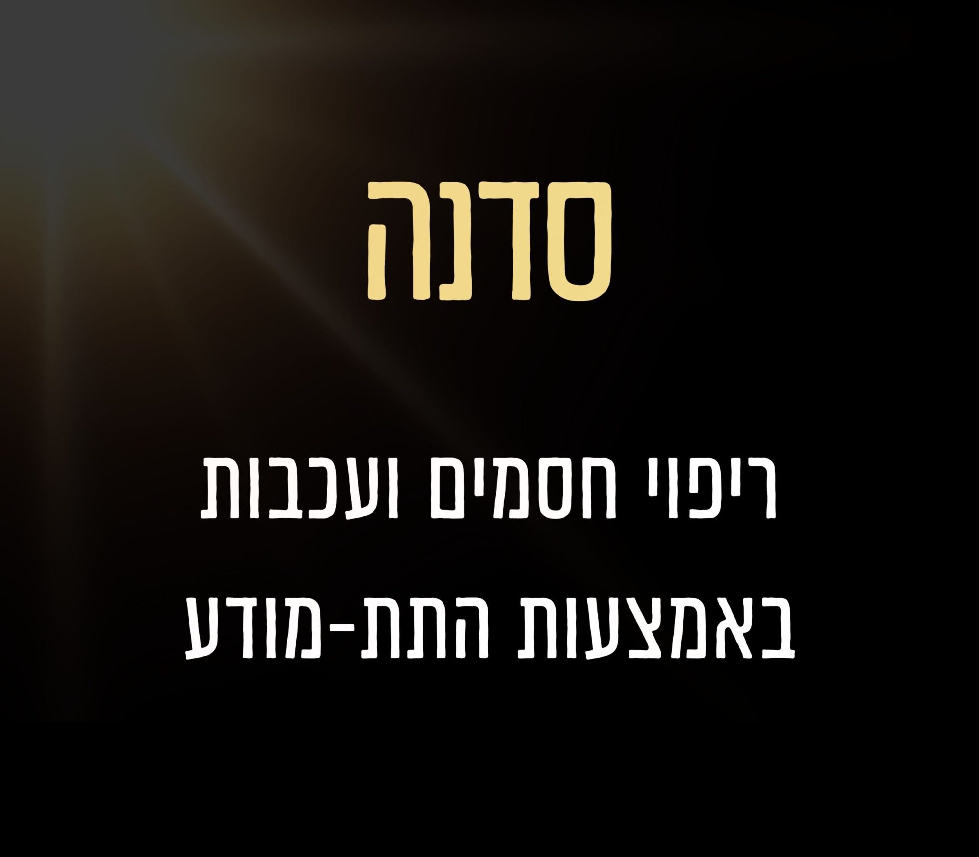 הדרכה (11)