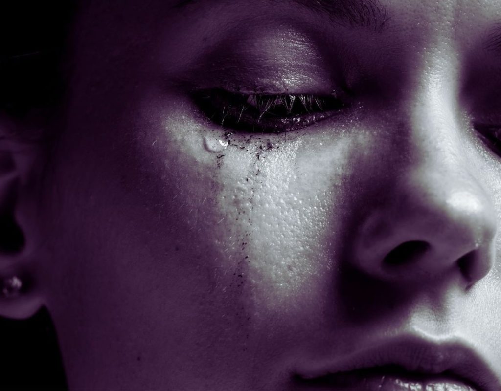 ההיערשמהח ללא עלות (3)